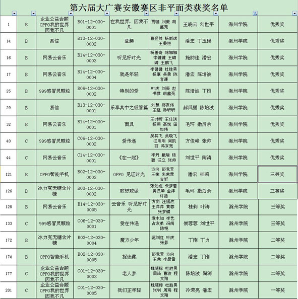安徽赛区非平面类奖项