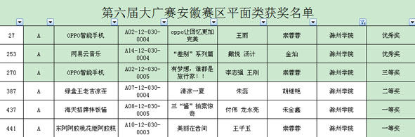 安徽赛区平面类奖项